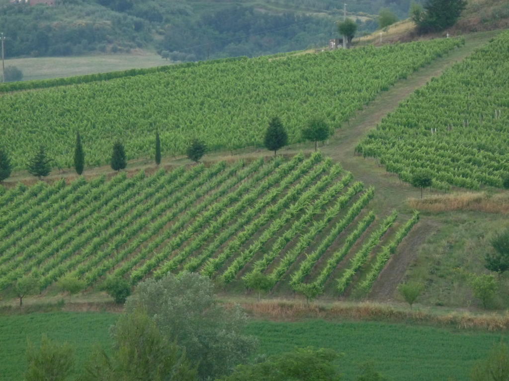 Vila Azienda Agricola Ed Agrituristica Cafaggio San Miniato Exteriér fotografie
